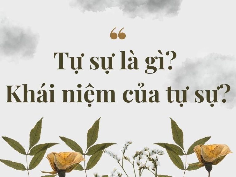 Tự sự là gì? Đặc điểm, phân loại của tự sự trong văn học - Hệ Thống ...