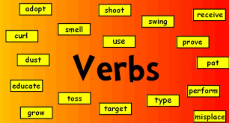 Các loại động từ(verb) trong tiếng anh
