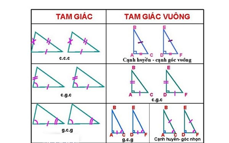 Các trường hợp đồng dạng của tam giác vuông