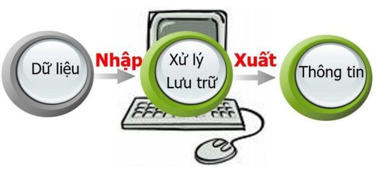 Input và output là gì trong tin học? Định nghĩa và ứng dụng - Hệ Thống ...
