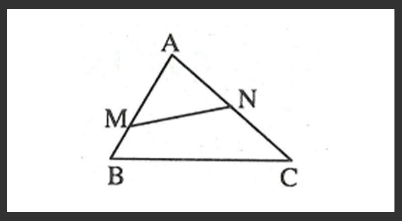Dạng bài tập về tam giác đồng dạng