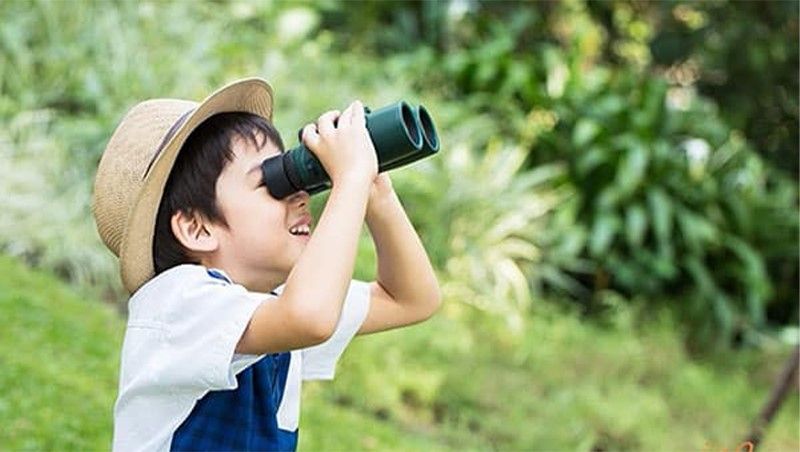 Kích thích trí tò mò, ham học hỏi ở trẻ nhỏ thông qua kỹ năng quan sát 