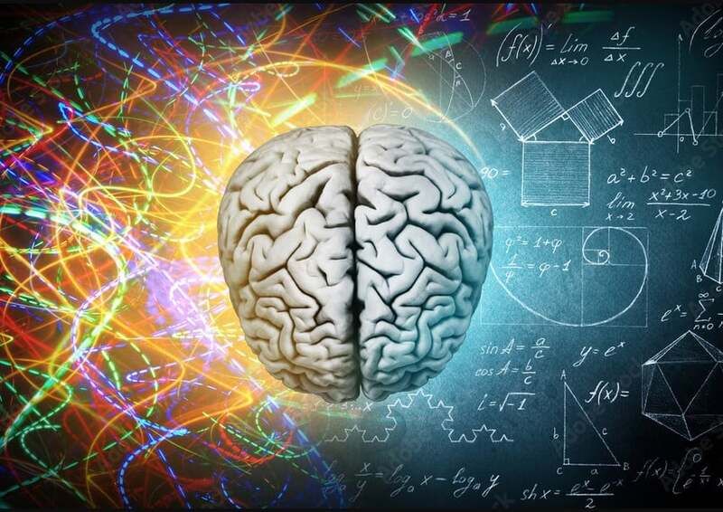 Làm sao biết người thiên về não trái hay não phải  