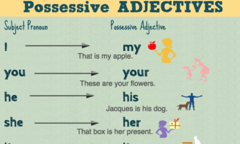 Sự tương ứng giữa Subject và Possessive Adjective