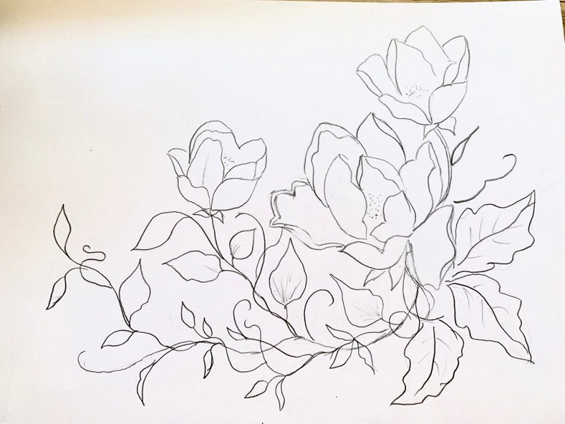 Cách vẽ hoa đơn giản - Hoa Mẫu đơn