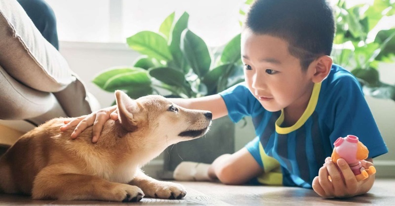 Cho con tham gia hoạt động cùng thú cưng giúp trẻ yêu động vật hơn