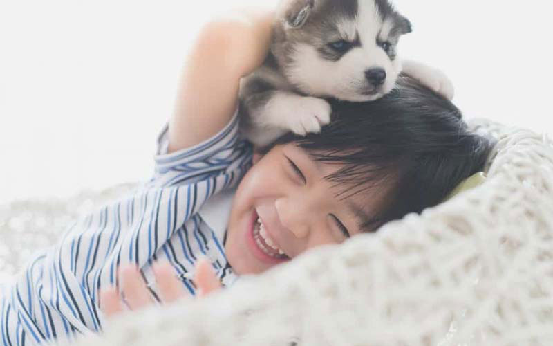 Trẻ vui chơi cùng thú cưng giúp trẻ yêu động vật hơn