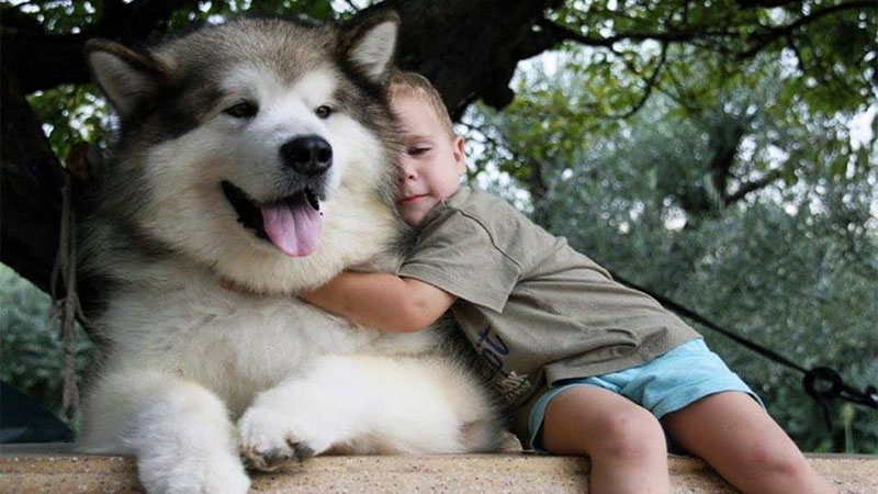 Tạo điều kiện cho trẻ tiếp xúc với thú cưng từ khi còn nhỏ