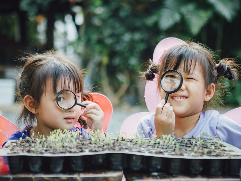 Tầm quan trọng của việc thích nghi