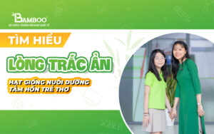 Lòng trắc ẩn - Hạt giống nuôi dưỡng tâm hồn trẻ thơ