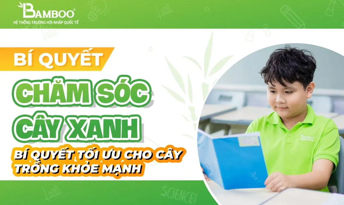 Chăm sóc cây xanh: bí quyết tối ưu cho cây trồng khỏe mạnh