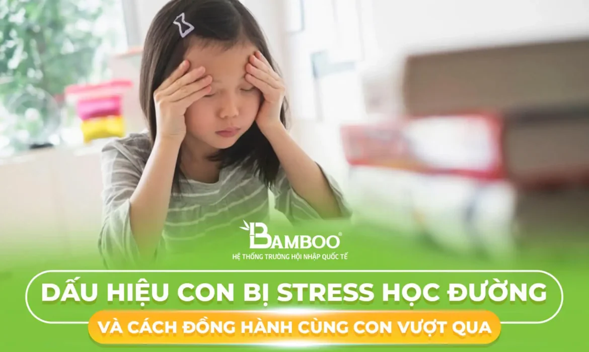 9 Dấu Hiệu Con Bị Stress Học Đường Và Cách Đồng Hành Cùng Con Vượt Qua
