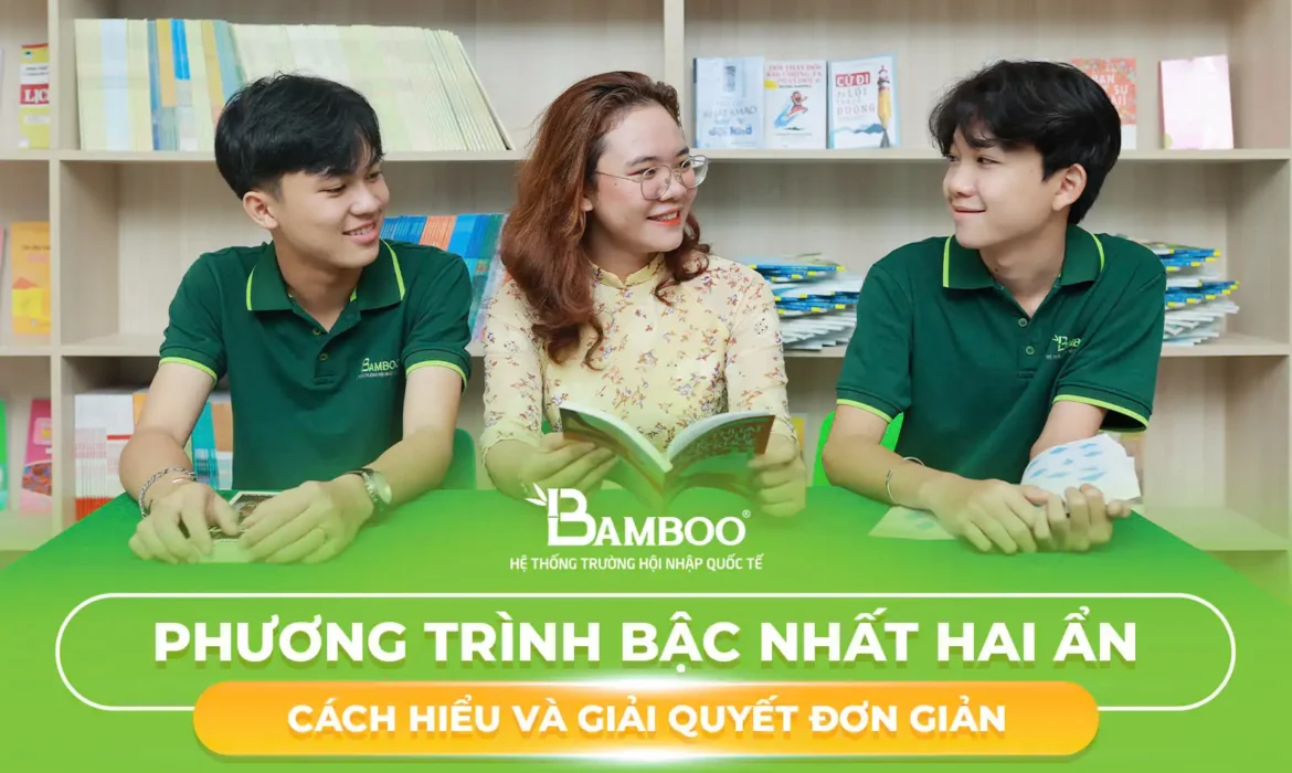 2 Phương Pháp Giải Phương Trình Bậc Nhất Hai Ẩn: Cách Hiểu và Giải Quyết Đơn Giản Cho Học Sinh