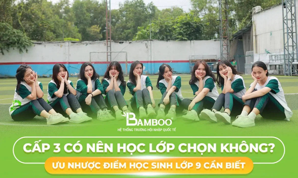 Cấp 3 có nên học lớp chọn không? Ưu nhược điểm học sinh lớp 9 cần biết