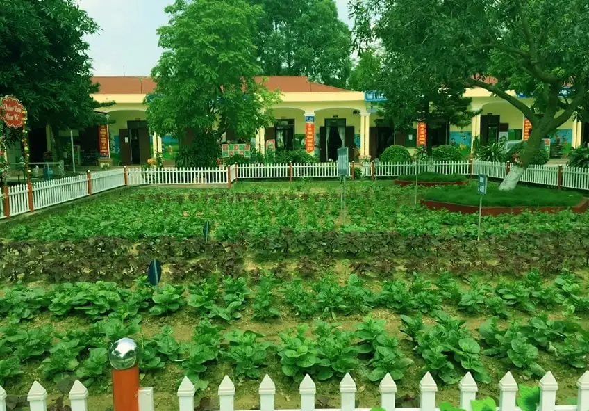 Trường học xanh là gì