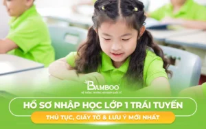 Hồ Sơ Nhập Học Lớp 1 Trái Tuyến