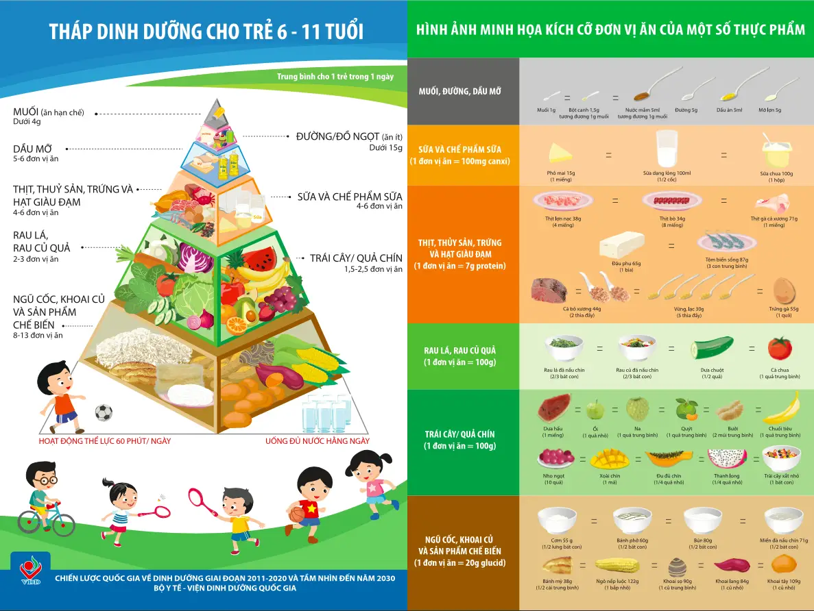Cân bằng chế độ dinh dưỡng theo tháp dinh dưỡng