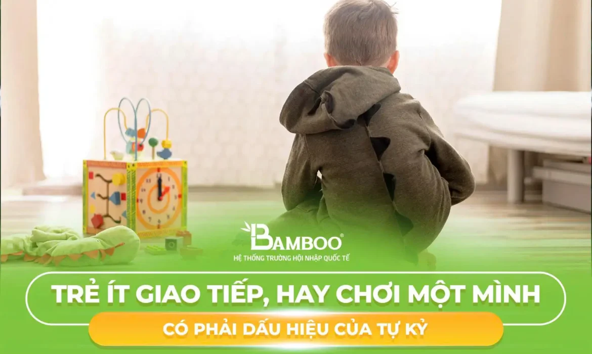 Trẻ Ít Giao Tiếp, Hay Chơi Một Mình Có Phải Dấu Hiệu Của Tự Kỷ