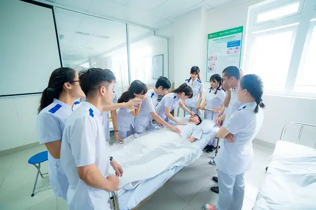 Ngành Điều Dưỡng Học Những Gì?