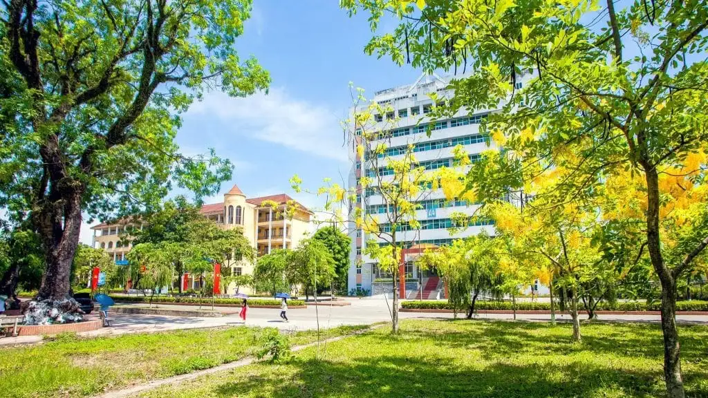 Top 5 Trường Đào Tạo Ngành Sư Phạm Tốt Nhất Hiện Nay