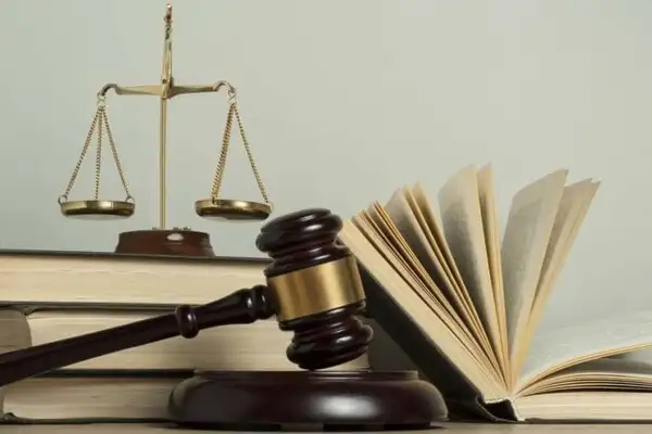 Học Ngành Luật Kinh Tế Có Dễ Xin Việc Không?